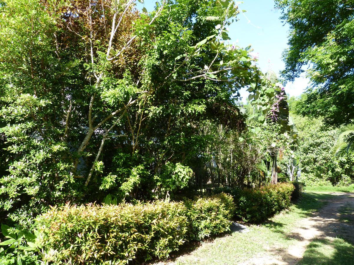 Seagull Villa Koh Lanta Exterior photo